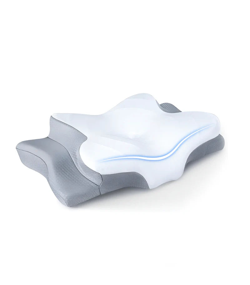 Slow Rebound Memory Cotton Pillow