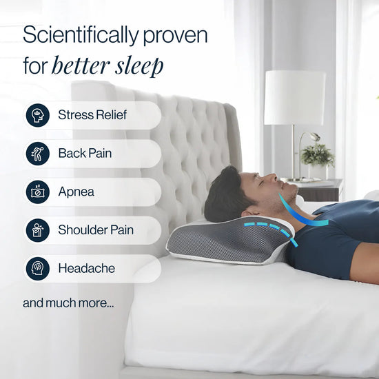 Slow Rebound Memory Cotton Pillow