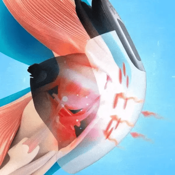 Knee Massager